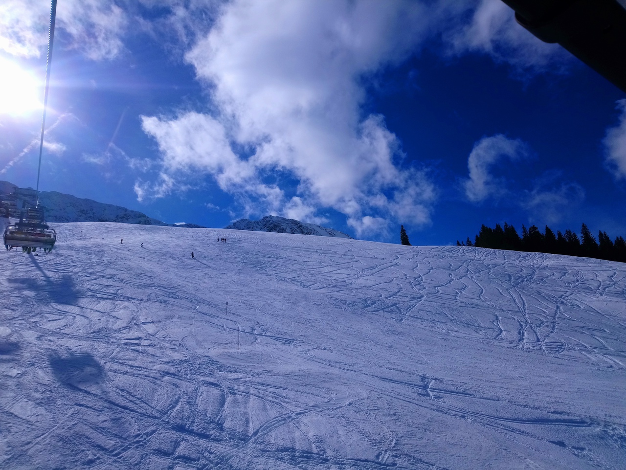 dsc_0798olkd5.jpg