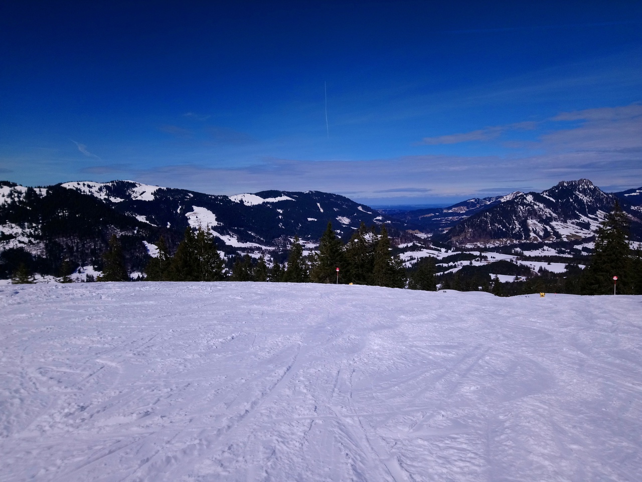 dsc_082166k2y.jpg