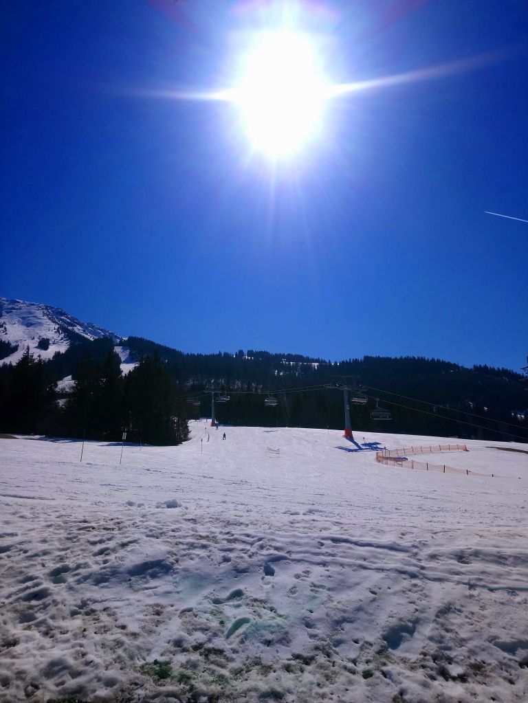 dsc_0883vxj7u.jpg