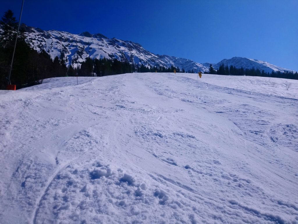 dsc_0897avj7g.jpg