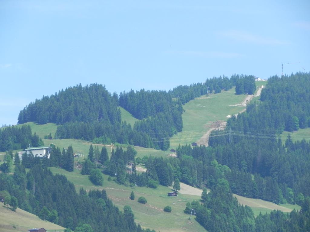dscn9517ssjfb.jpg