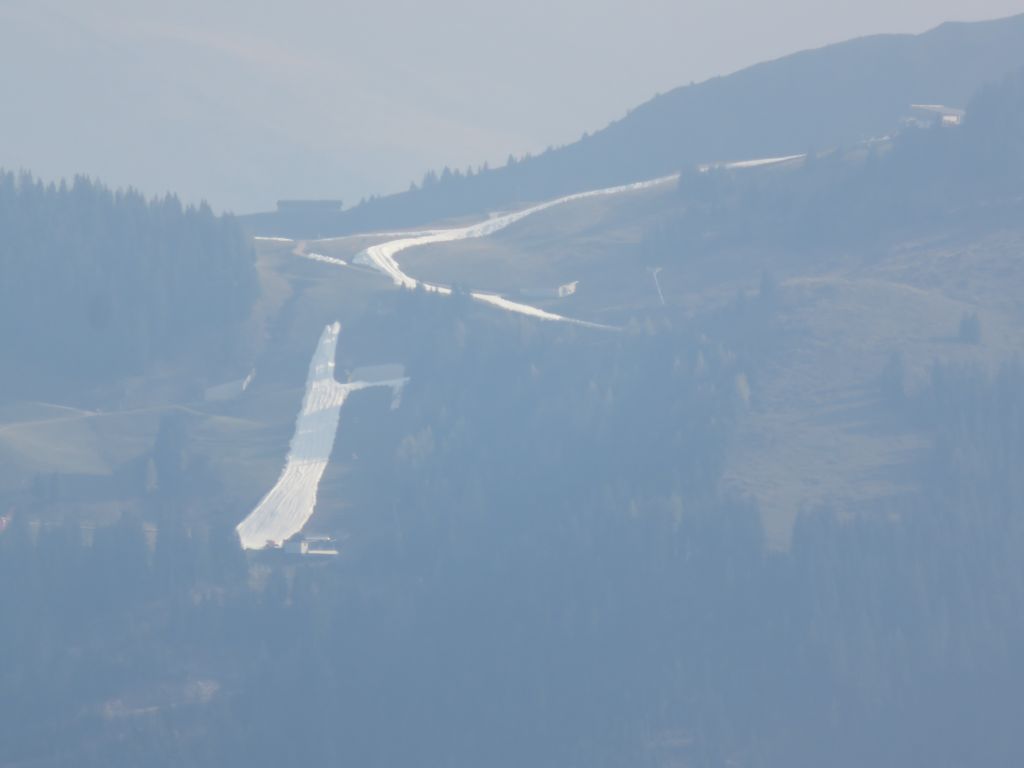 img_6464m4czl.jpg