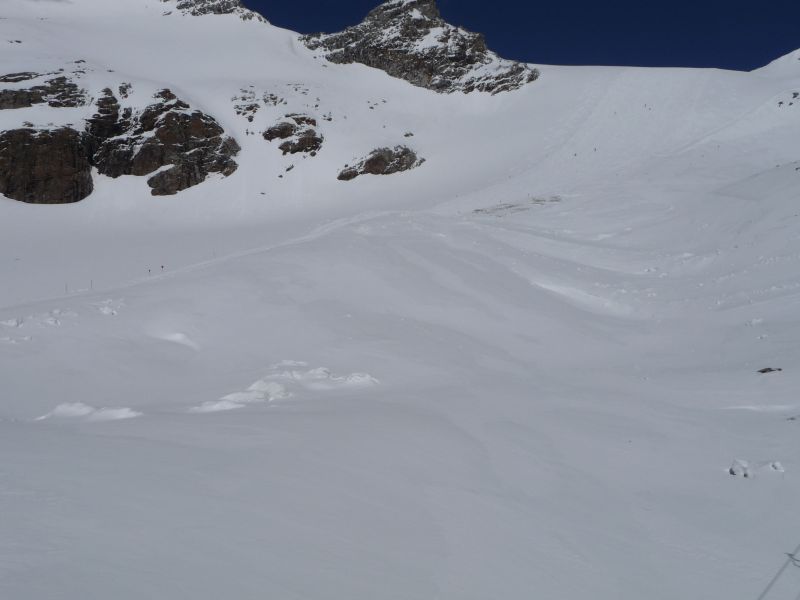 p1340690aqjkl.jpg