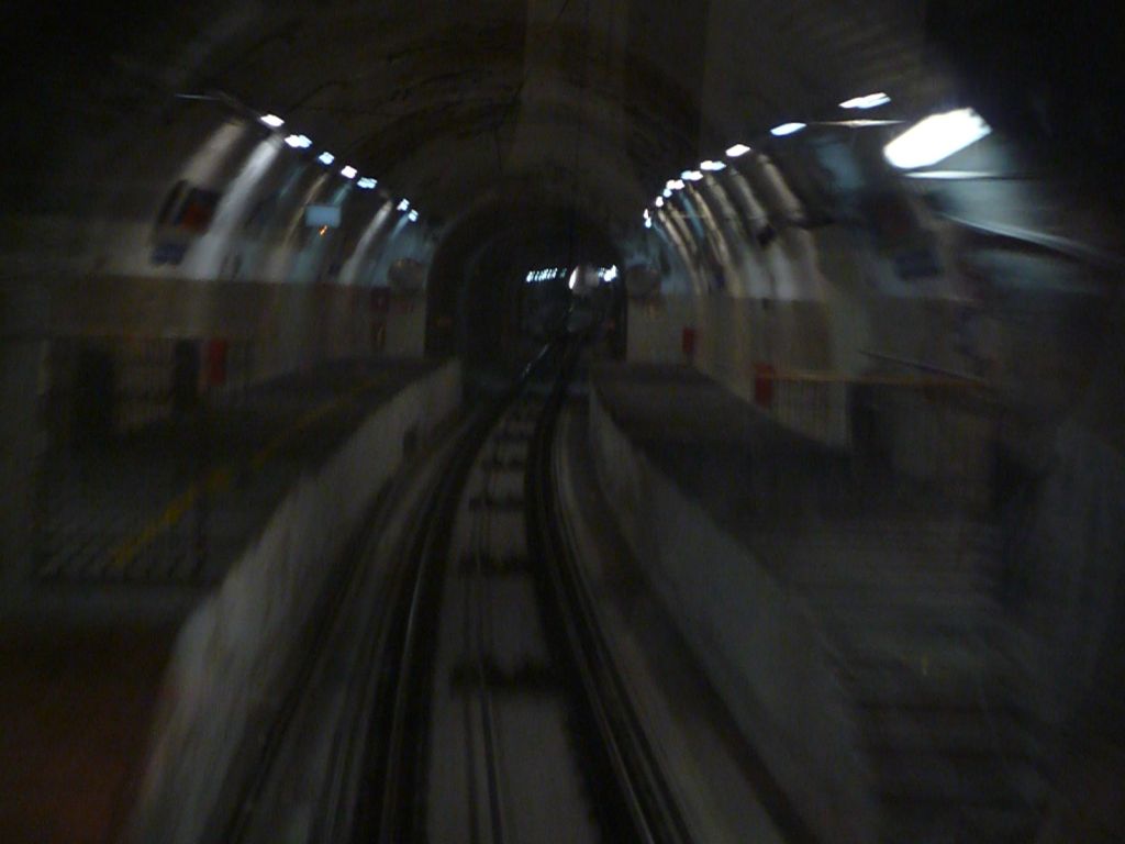 p1370680w7alf.jpg