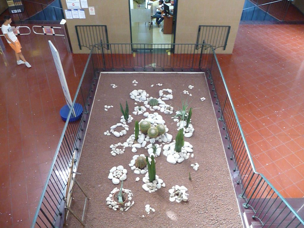 p1370711mqkld.jpg