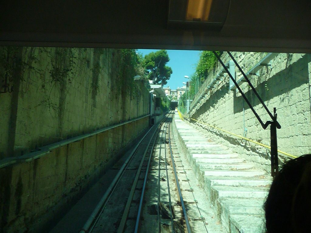 p1370794w1ywh.jpg