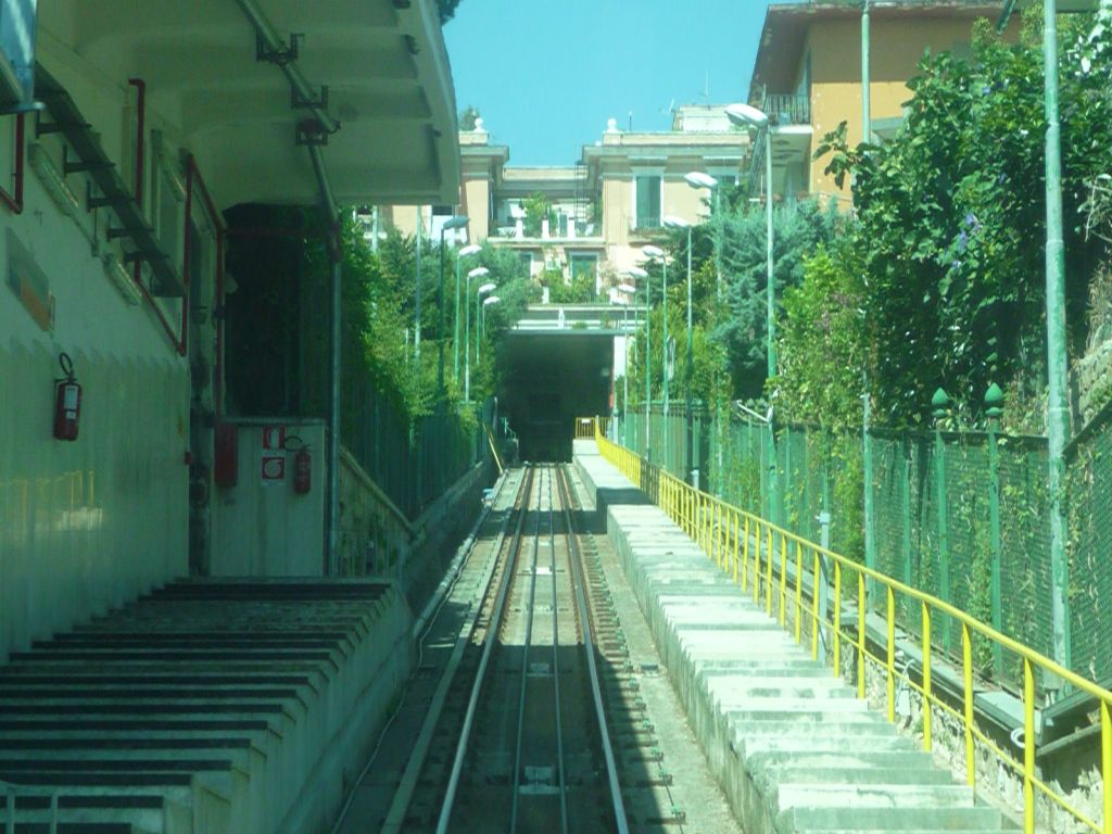 p1370796nkz1w.jpg
