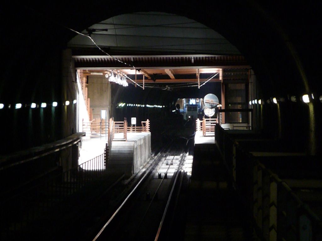 p1370894rhoaf.jpg