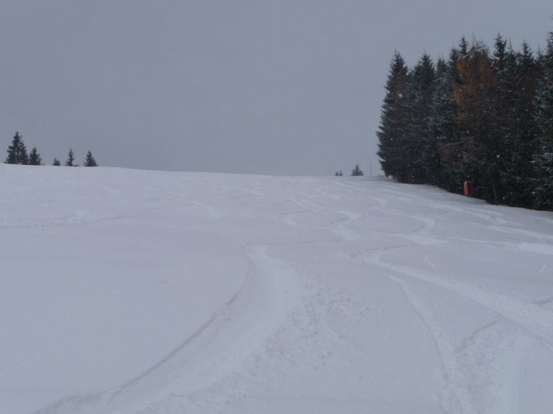 p1380868eia78.jpg