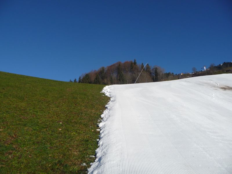 p1380989bxk09.jpg