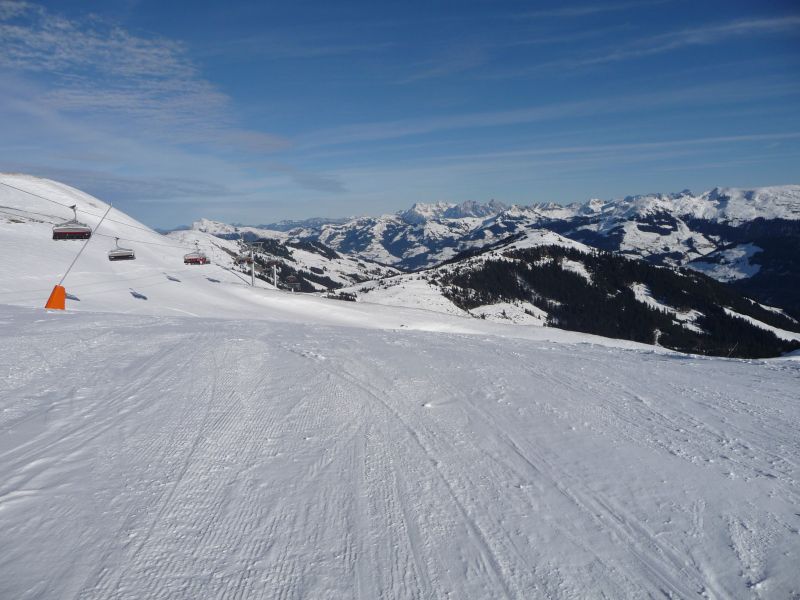 p13900750msup.jpg