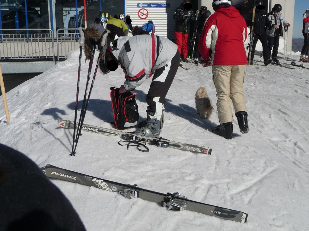 p14104625cbdr.jpg