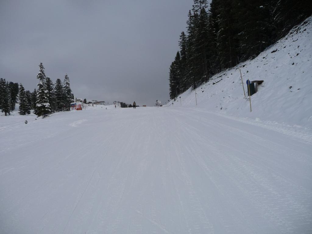 p14201413ek5d.jpg