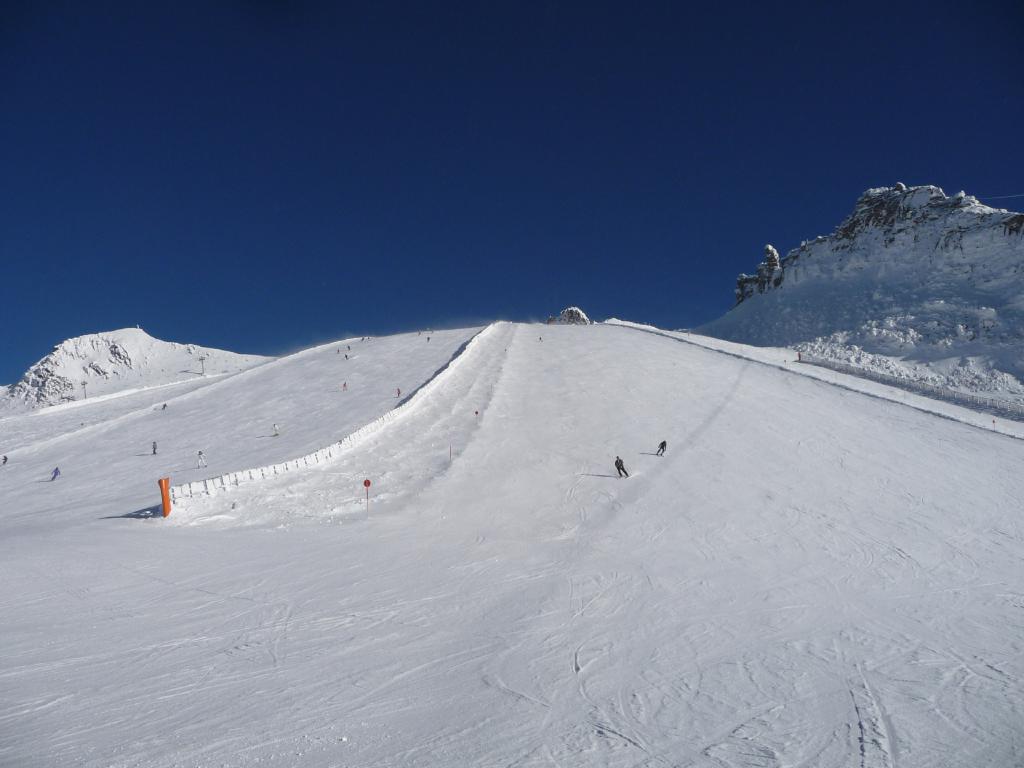 p1420185gyx5a.jpg