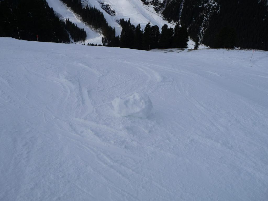 p14202892bse6.jpg