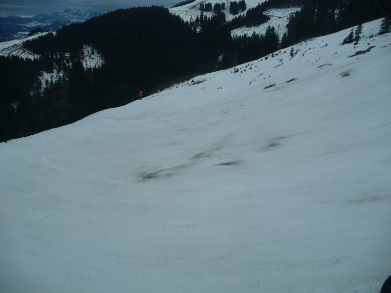 p1420421uzjkm.jpg