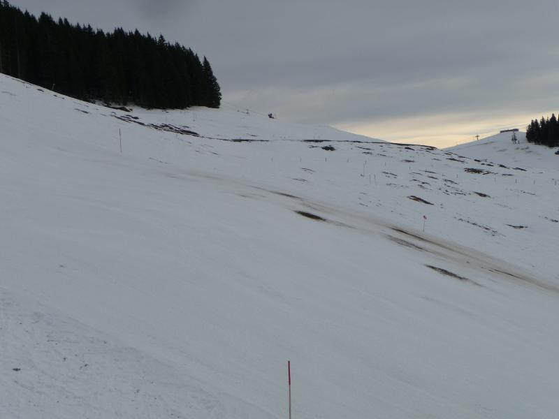 p142042470k73.jpg