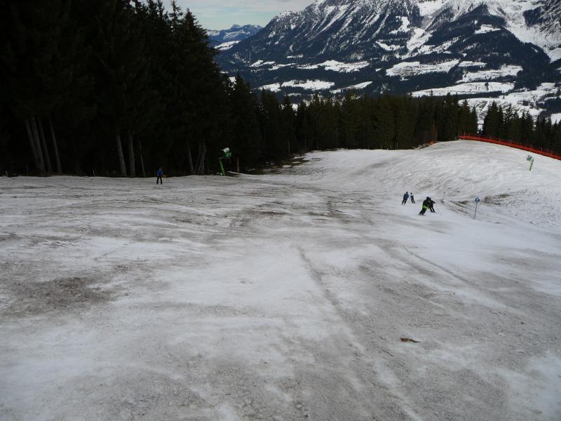 p1420452wmj2b.jpg