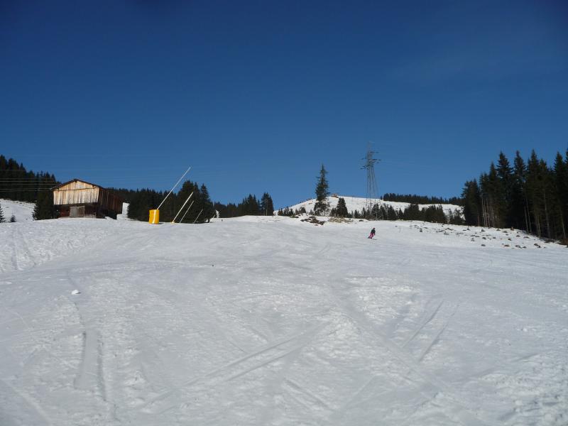 p1420482spsgs.jpg