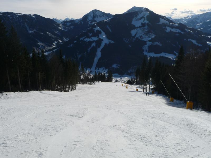 p14204831eskt.jpg