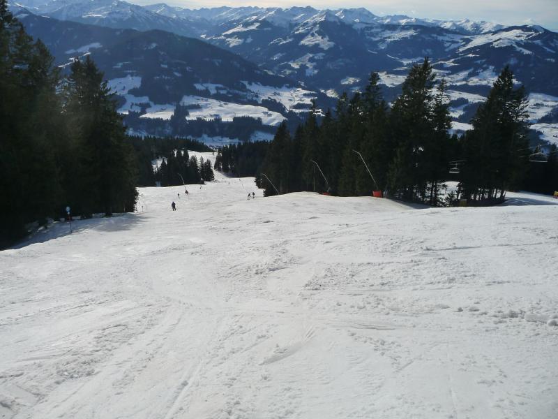 p1420492kqs93.jpg