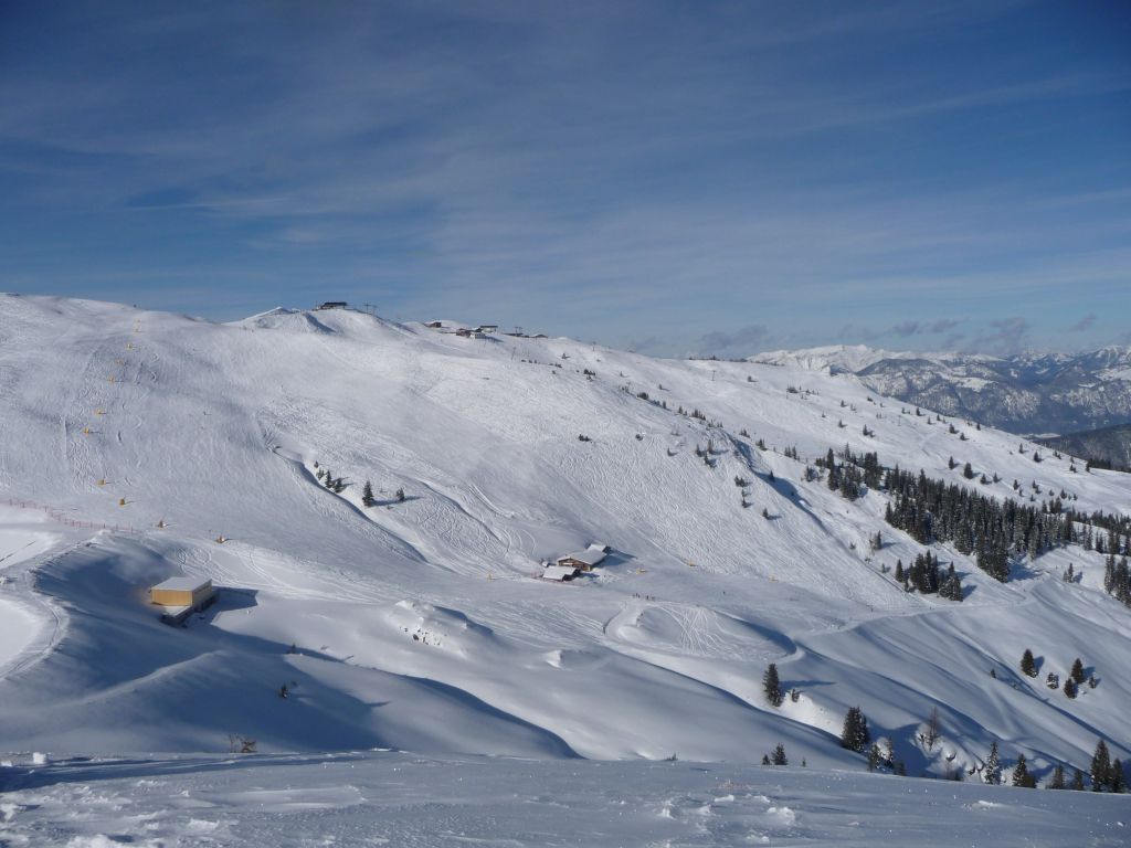 p14207893ddl0.jpg