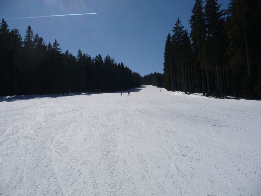 p14303202zj81.jpg