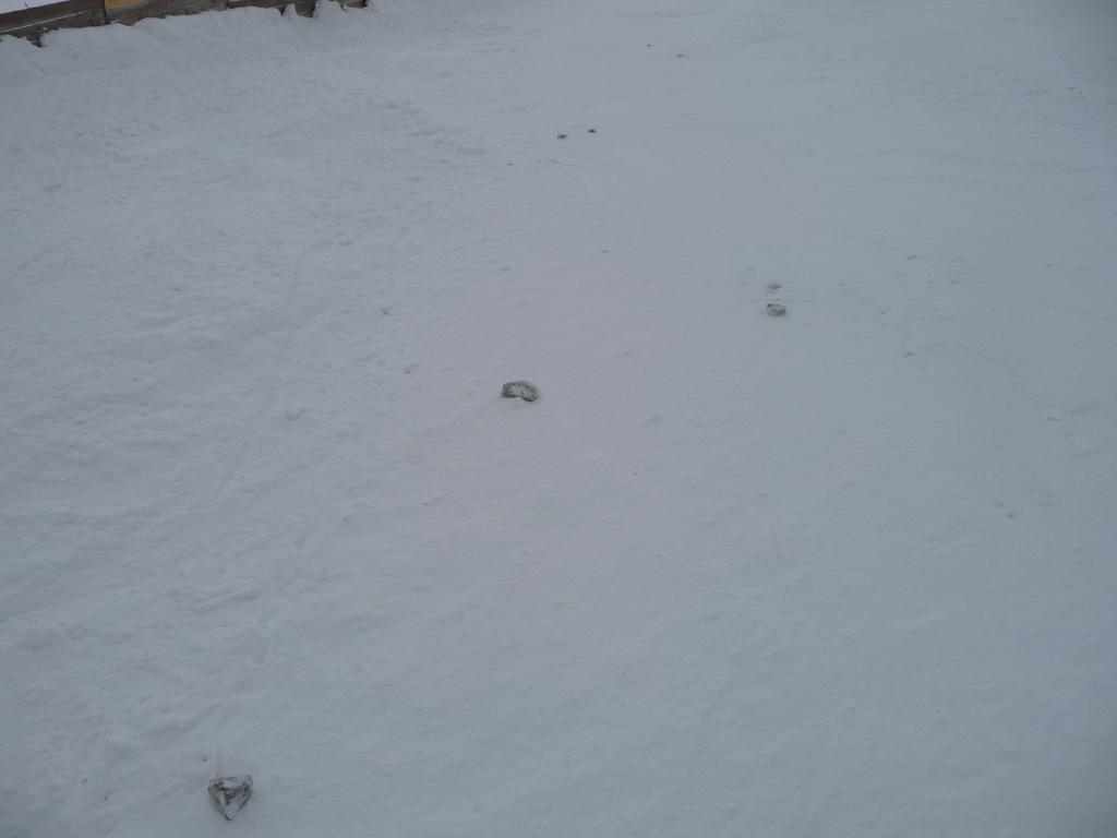 p1430600ndujm.jpg