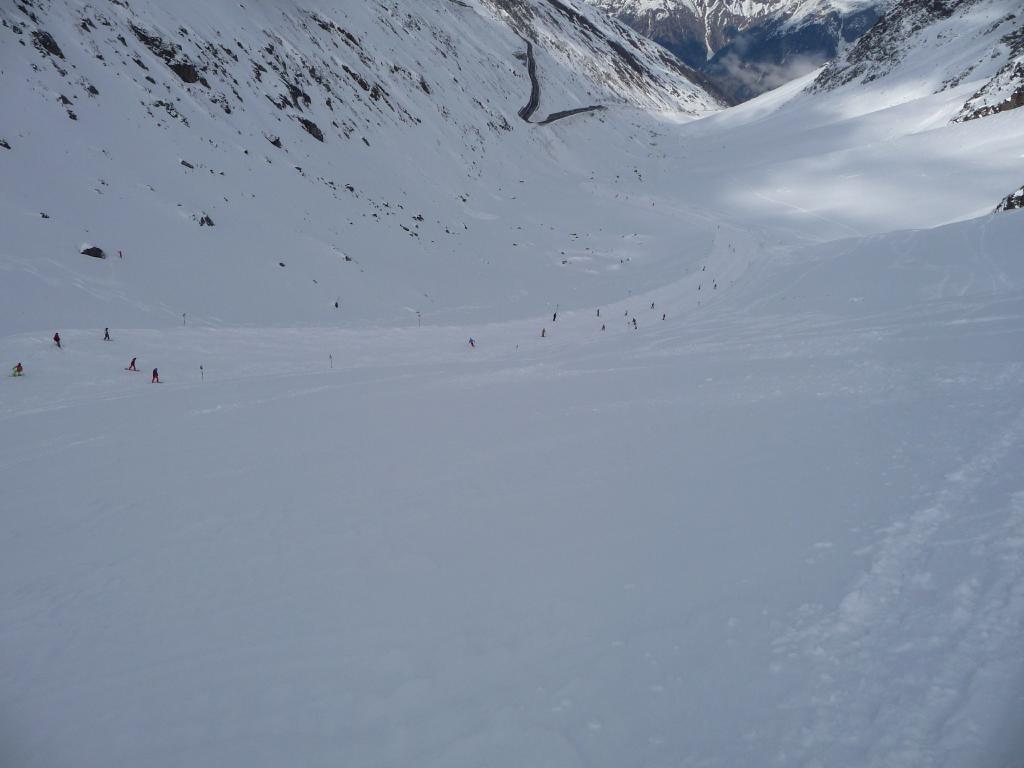 p1430690hbswf.jpg