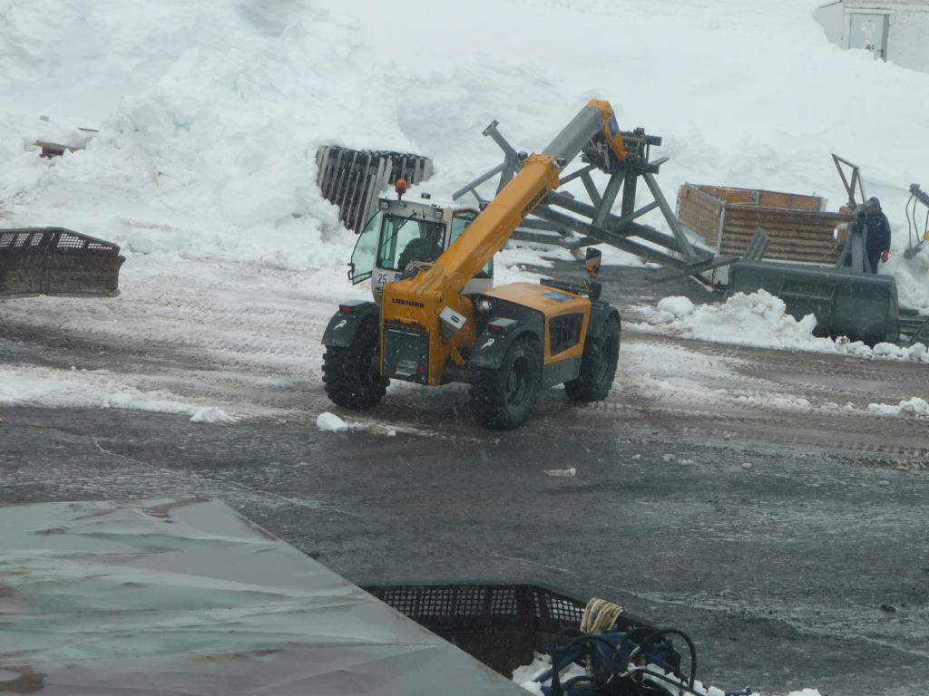 p1440280blyyz.jpg