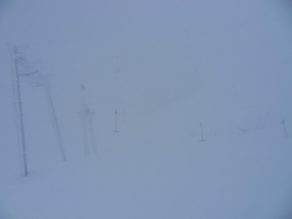 sdc11597lvuva.jpg