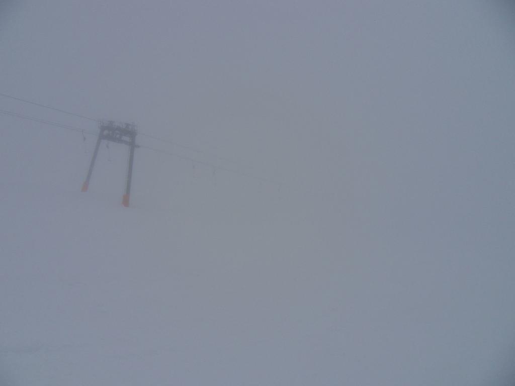sdc11625m8obv.jpg