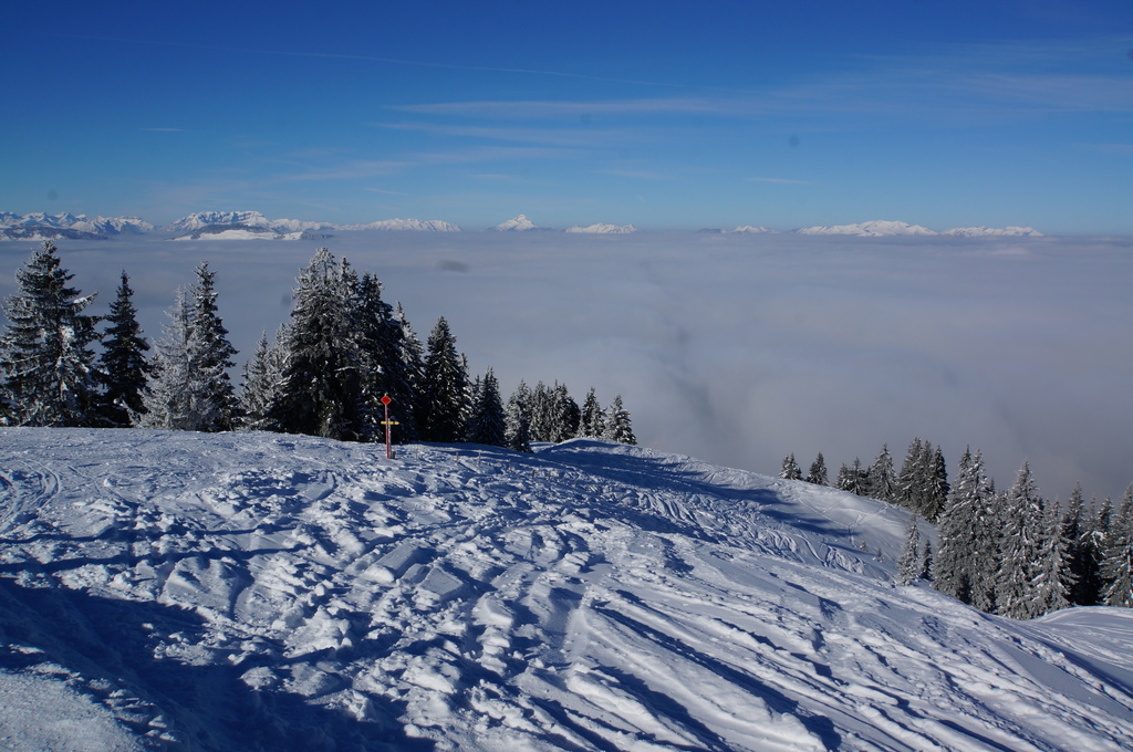 2015-03-1010.49.211dafl.jpg