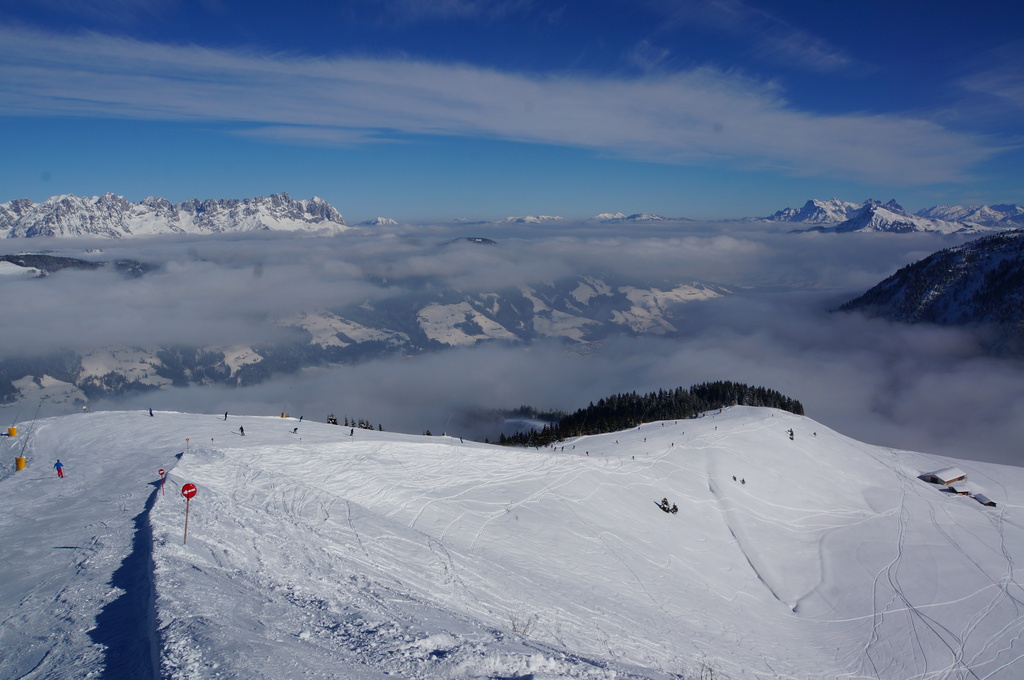 2015-03-1011.21.04gry3a.jpg