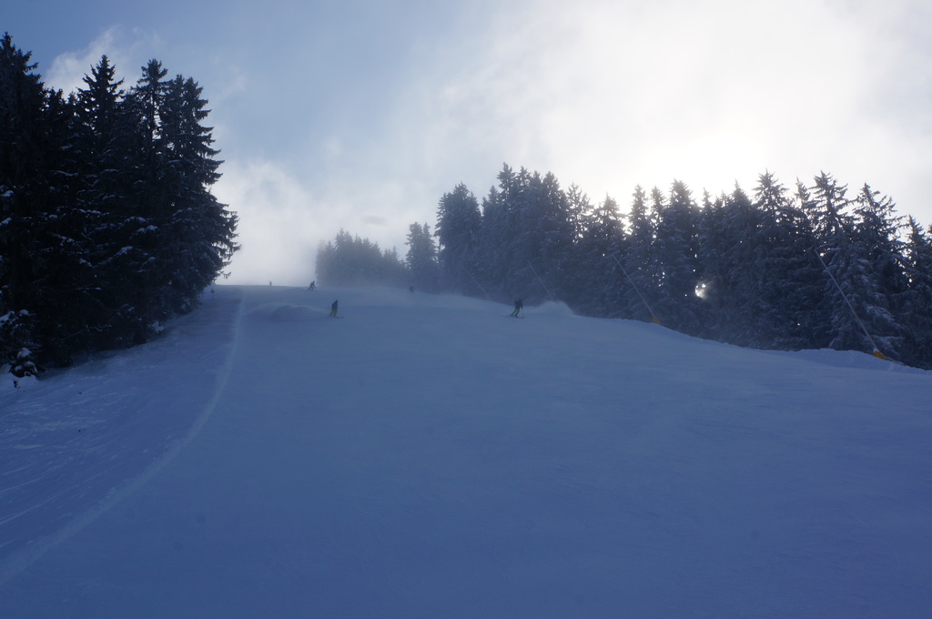 2015-03-1011.26.26bsldp.jpg