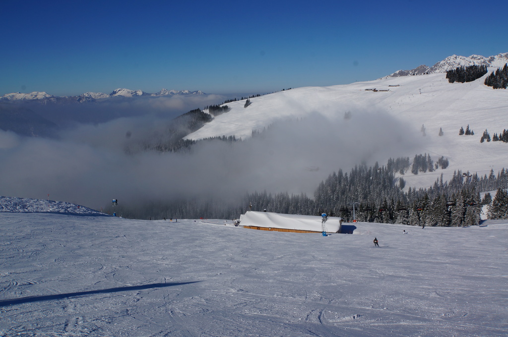 2015-03-1013.04.45dfzhu.jpg