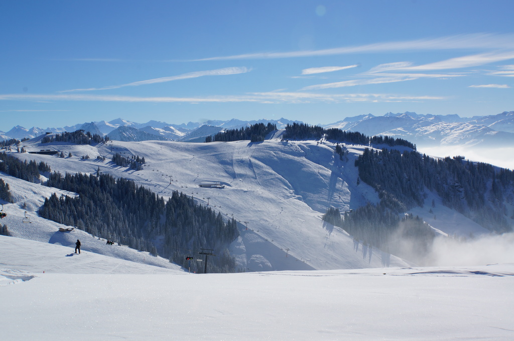 2015-03-1013.25.433bxci.jpg