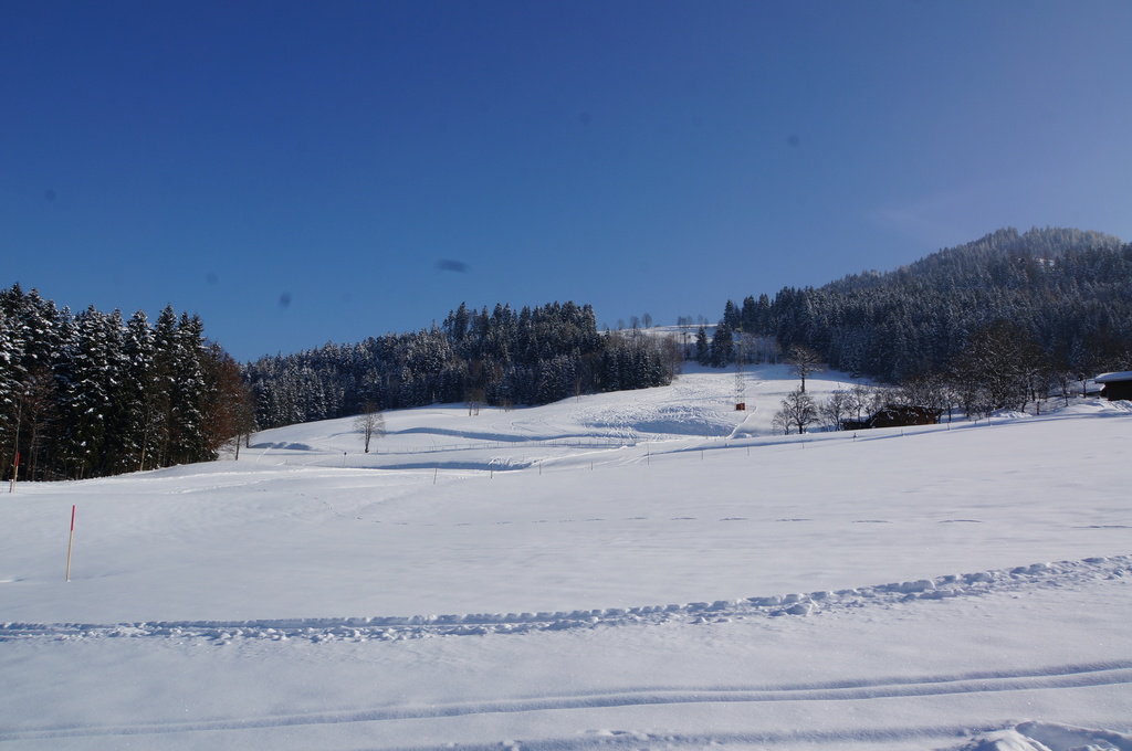 2015-03-1013.47.32s8aqe.jpg