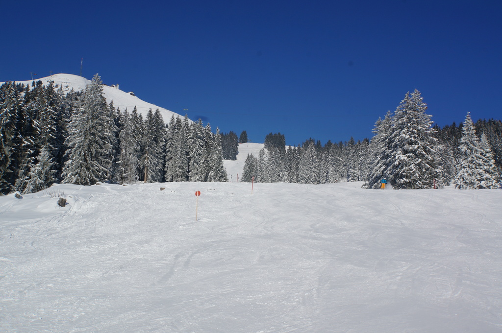 2015-03-1014.41.02g5l9t.jpg