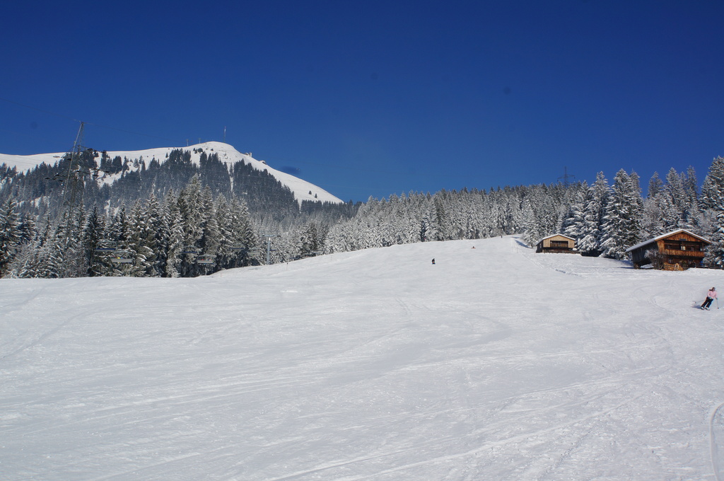 2015-03-1014.41.472ali4.jpg