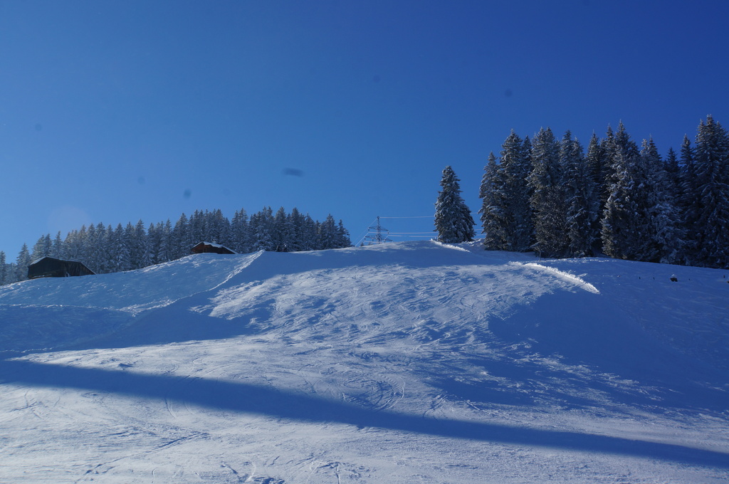 2015-03-1014.53.28n9yzm.jpg