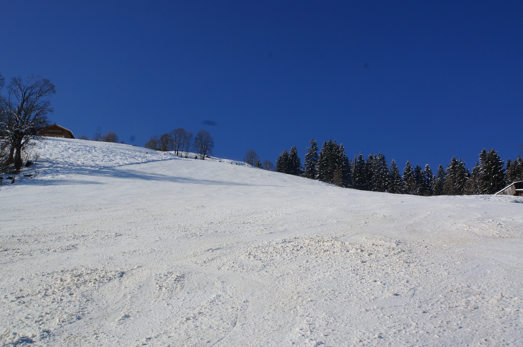 2015-03-1014.56.27dgxv8.jpg