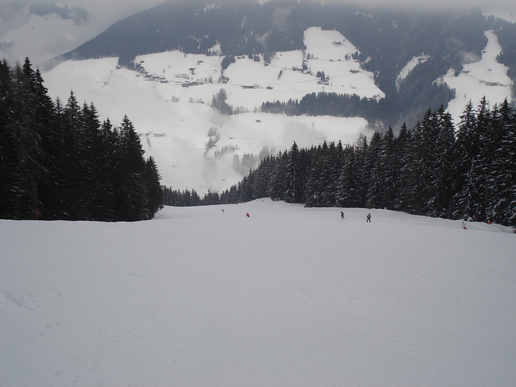 alpbachtaljan2012016wmpow.jpg