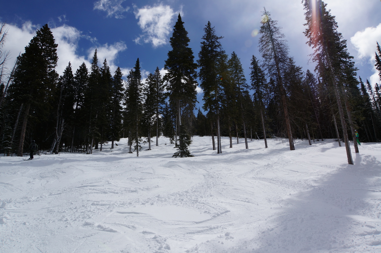 bigsky6916ej3m.jpg