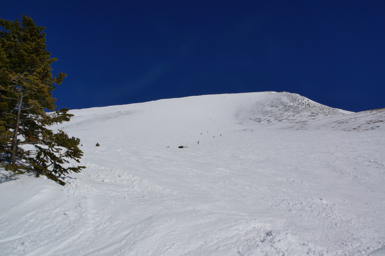 bigsky733yok6j.jpg