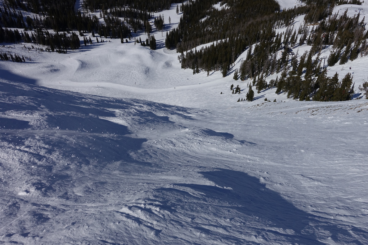 dsc00225gqjny.jpg