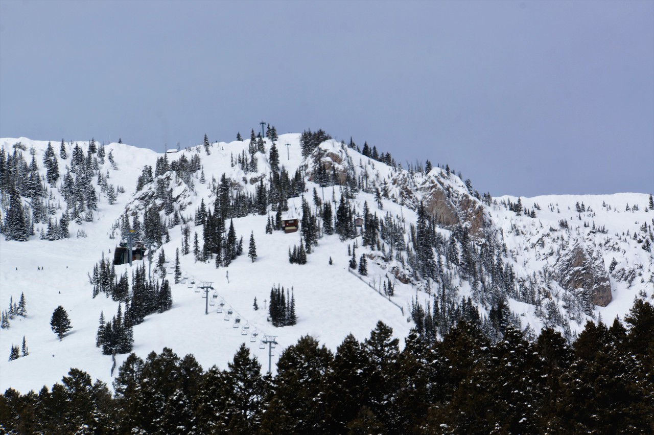 dsc00619z1ju0.jpg