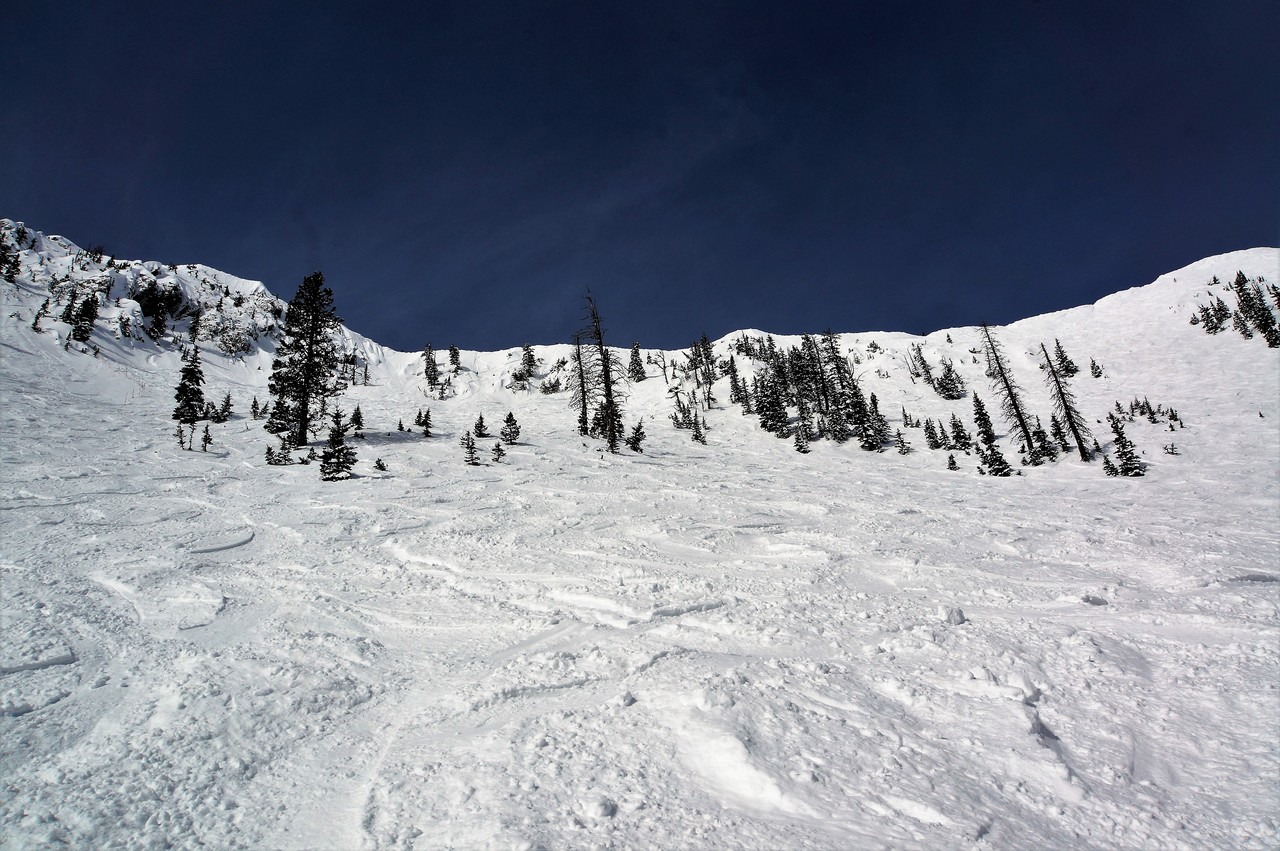 dsc006375kk0t.jpg