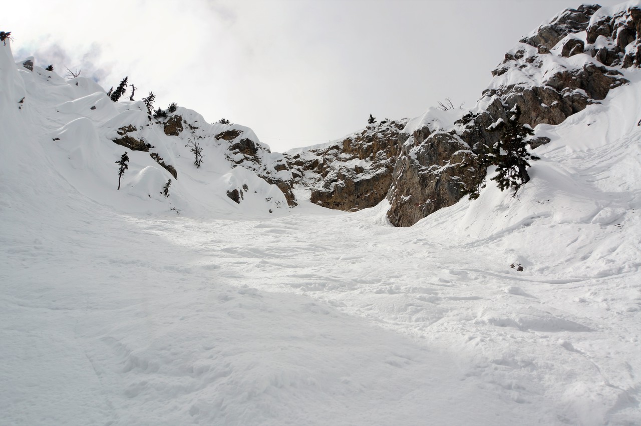 dsc00695syjb4.jpg