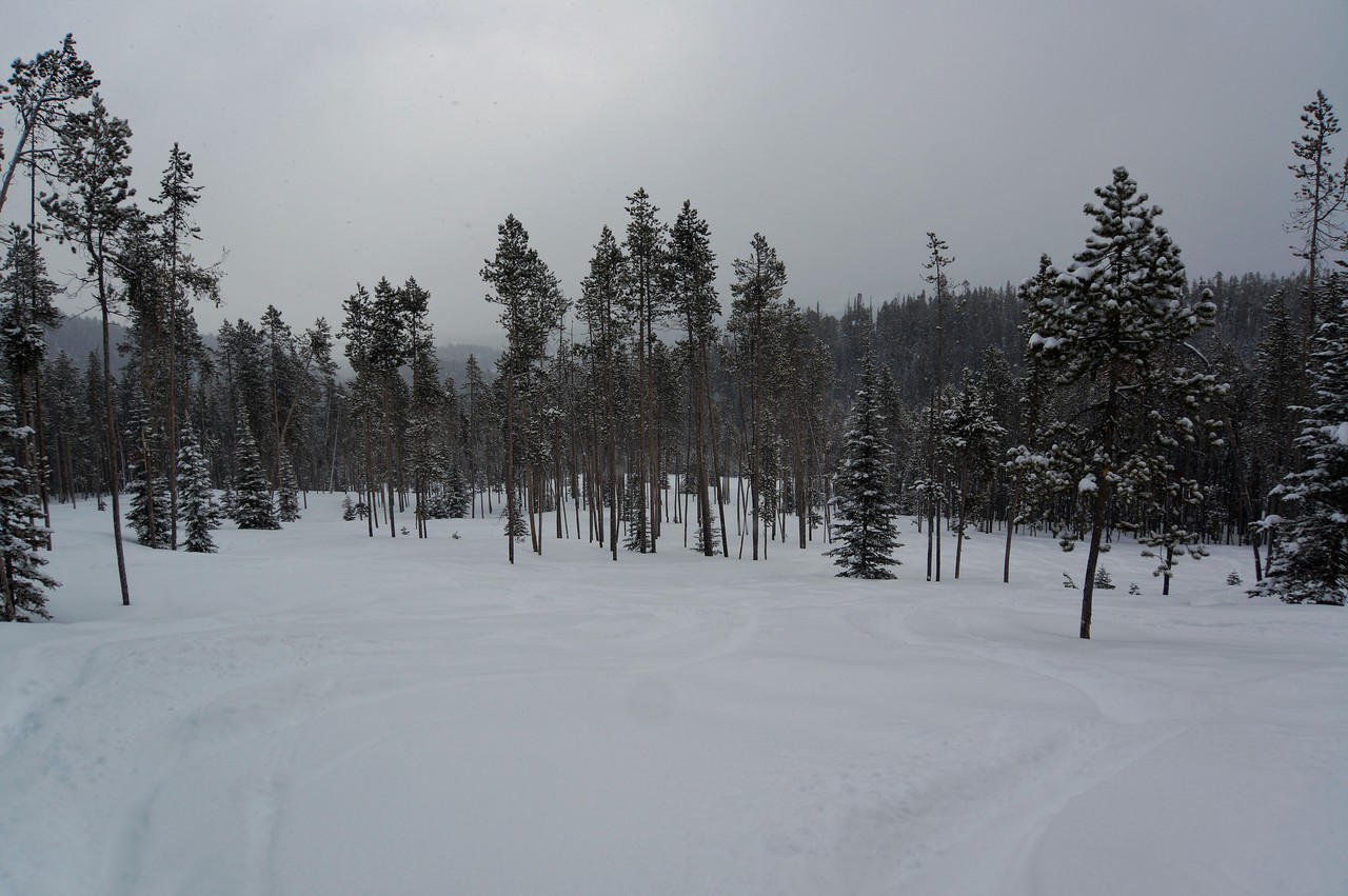 dsc00731c5k2k.jpg